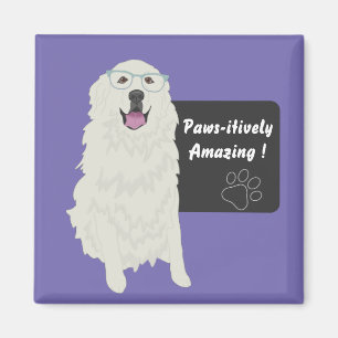 Pawsitively Amazing Education Sticker Magnet