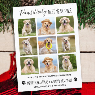 Pawsitively Best Year Ever Dog Pet Photo Collage Holiday Postcard