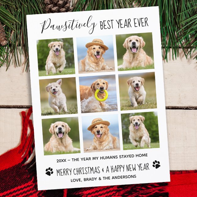 Pawsitively Best Year Ever Dog Pet Photo Collage Holiday Postcard (Creator Uploaded)