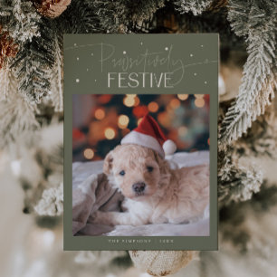 Pawsitively Festive Dog Photo Sage Christmas Holiday Card