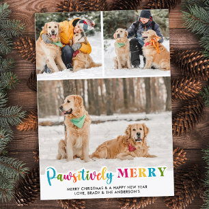 Pawsitively Merry Colourful Custom Pet Dog 3 Photo Holiday Card