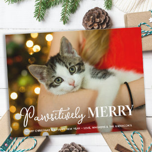 Pawsitively Merry Custom Pet Cat Photo Christmas  Holiday Postcard