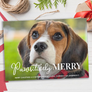 Pawsitively Merry Custom Pet Dog Photo Christmas Holiday Card