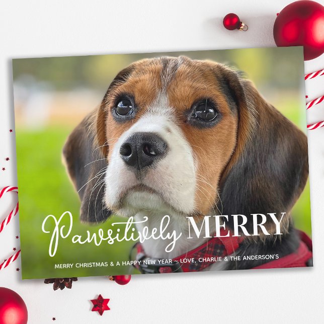 Pawsitively Merry Custom Pet Dog Photo Christmas Holiday Postcard (Creator Uploaded)