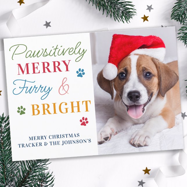 Pawsitively Merry Furry & Bright Custom Pet Photo Holiday Card (Creator Uploaded)