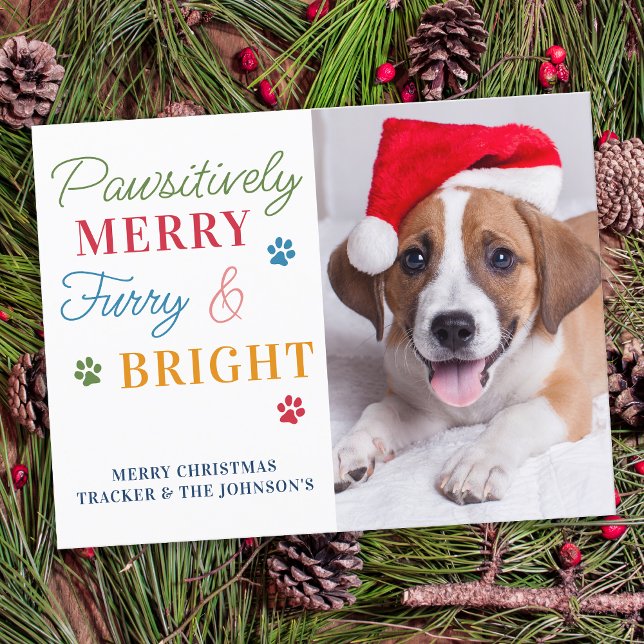 Pawsitively Merry Furry & Bright Custom Pet Photo Postcard (Creator Uploaded)