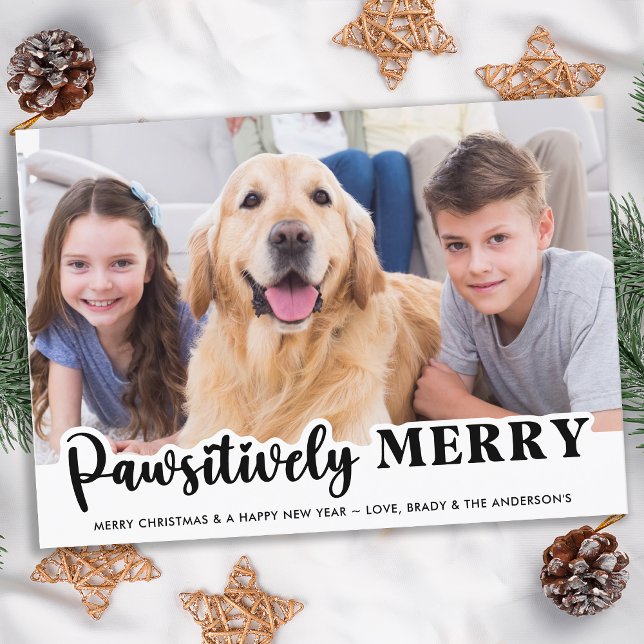 Pawsitively Merry Modern Customised Pet Dog Photo Holiday Card (Creator Uploaded)