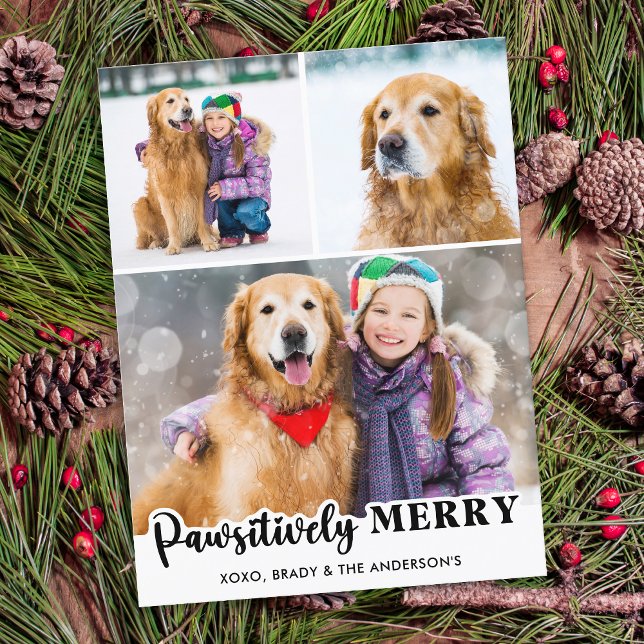 Pawsitively Merry Personalised 3 Photo Dog Lover Holiday Postcard (Creator Uploaded)
