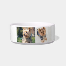 "Pawsitively Personalised Yorkie Medium Bowl