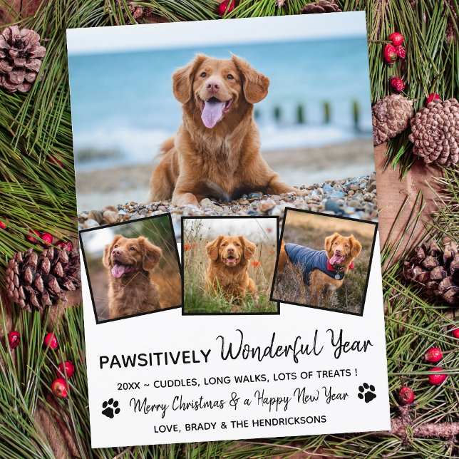 Pawsitively Pet Year in Review Cute 4 Dog Photo Holiday Card (Creator Uploaded)