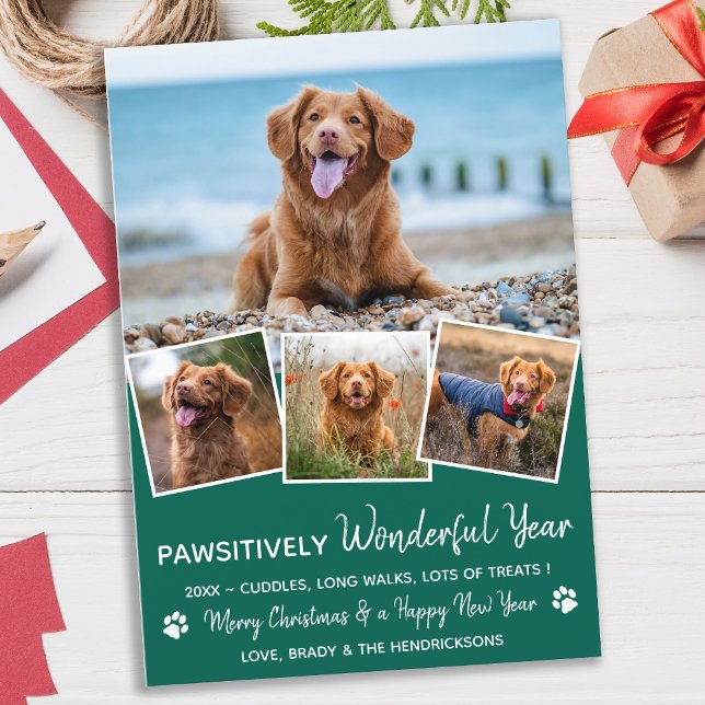 Pawsitively Pet Year in Review Puppy Dog Photo Holiday Card (Creator Uploaded)