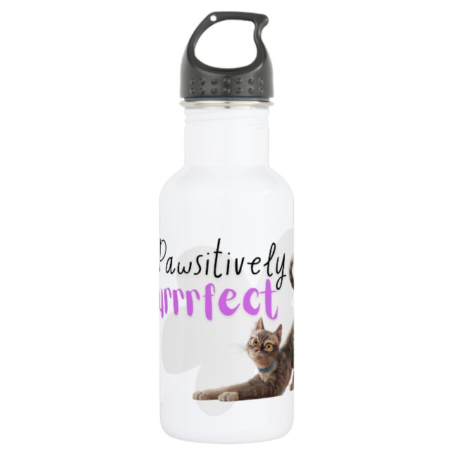 Pawsitively Purrrfect 532 Ml Water Bottle (Front)