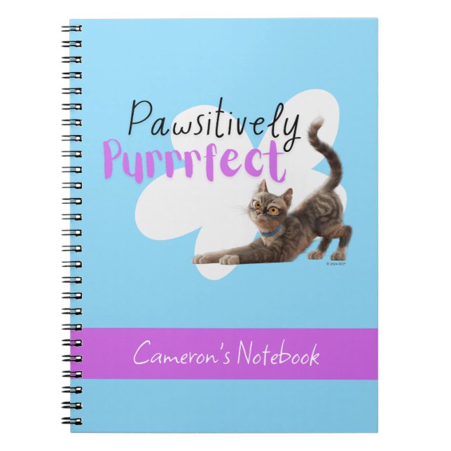 Pawsitively Purrrfect Notebook (Front)