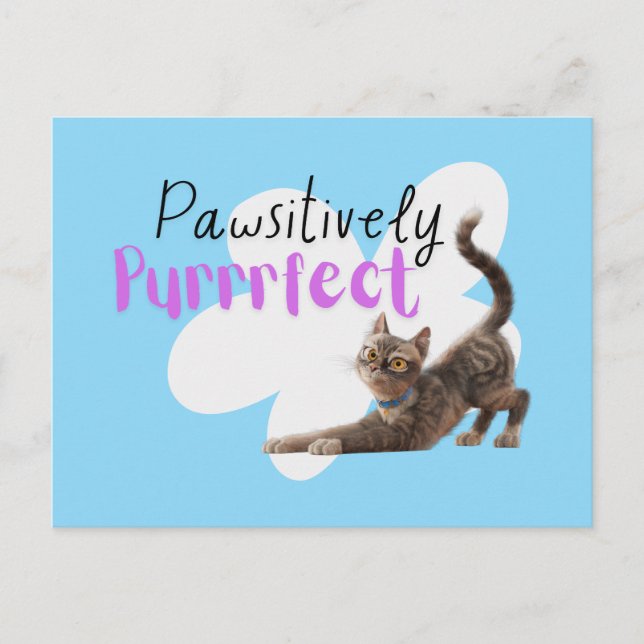 Pawsitively Purrrfect Postcard (Front)