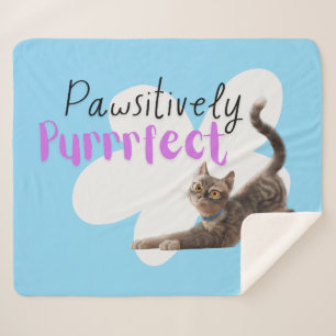 Pawsitively Purrrfect Sherpa Blanket