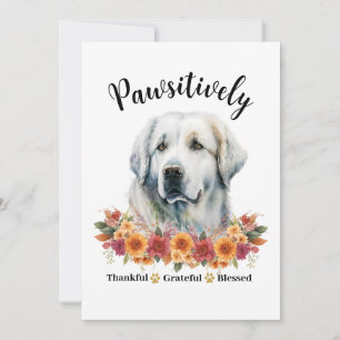 Pawsitively Thankful Grateful Blessed Cute Dog Card