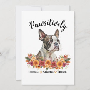 Pawsitively Thankful Grateful Blessed Cute Dog Card