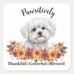 Pawsitively Thankful Grateful Blessed Cute Dog Square Sticker