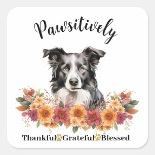 Pawsitively Thankful Grateful Blessed Cute Dog Square Sticker