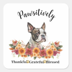 Pawsitively Thankful Grateful Blessed Cute Dog Square Sticker