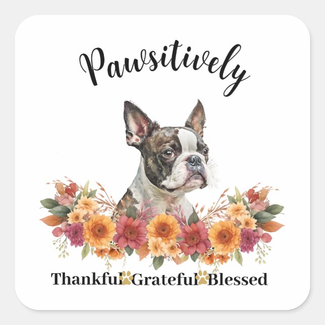 Pawsitively Thankful Grateful Blessed Cute Dog Square Sticker (Front)