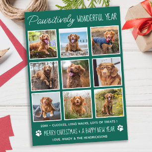 Pawsitively Wonderful Year Cute Collage Pet Photo Holiday Card