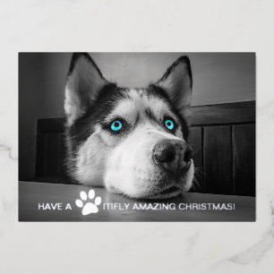 Pawsitivly Amazing Christmas Custom Dog Photo Foil Holiday Card
