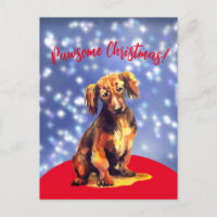 Pawsome christmas with a sausage dog ! Postcard