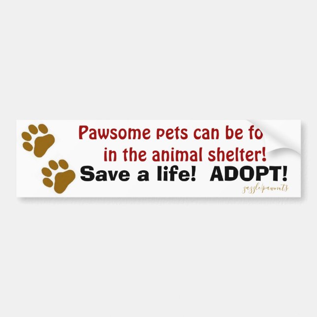 Pawsome pets bumper sticker (Front)