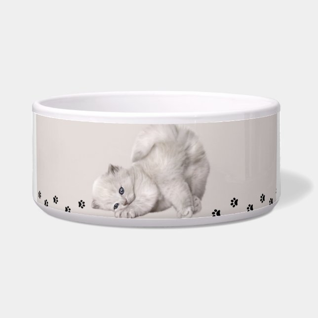 "Pawyer Bowl"? Kitten🐾✨ (Front)