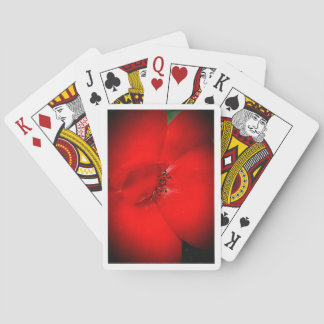 Pay attention playing cards