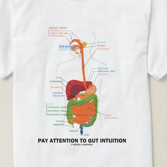Pay Attention To Gut Intuition (Anatomical Humour) T-Shirt (Digestive system attitude advice tee!)