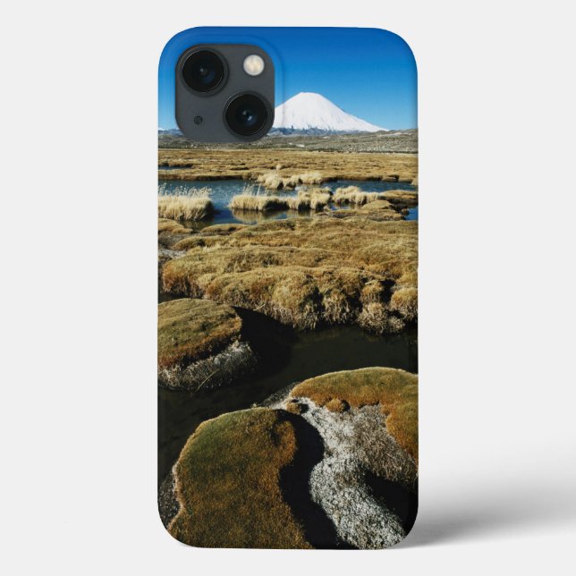 Payachalas Volcanos Case-Mate iPhone Case (Back)