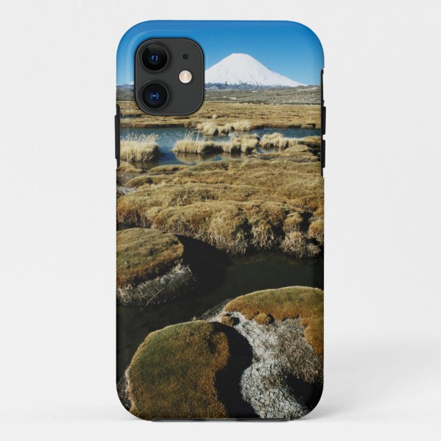 Payachalas Volcanos Case-Mate iPhone Case (Back)