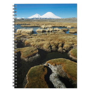 Payachalas Volcanos Notebook