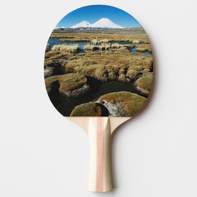Payachalas Volcanos Ping Pong Paddle (Front)