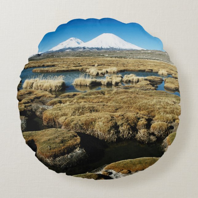 Payachalas Volcanos Round Cushion (Front)