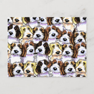 PBGV Pack Postcard