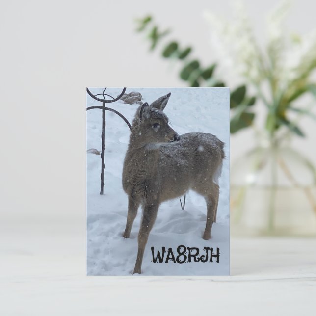 PC winter baby deer Ham Op amateur radio qsl card  (Standing Front)