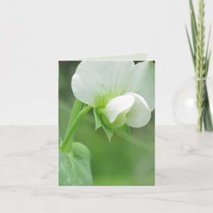 Pea Blossoms custom notecard or greeting card