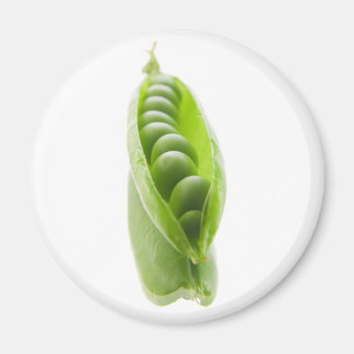 pea pod on mirror magnet