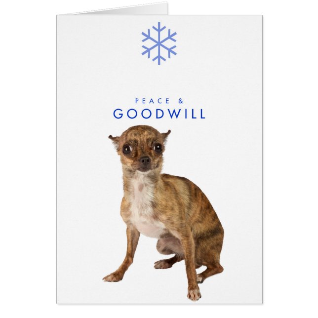 PEACE AND GOODWILL_1 (Front)