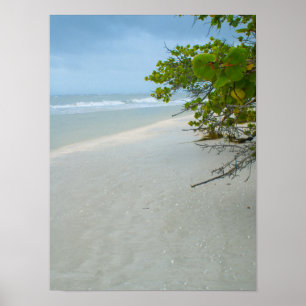 Peace And Quiet On Sanibel Island Poster