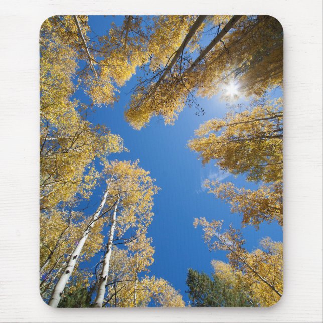 Peace and serenity in the Aspen's Mouse Pad (Front)