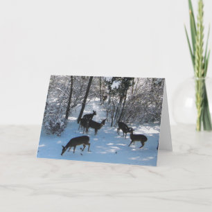 Peace at Christmas Card