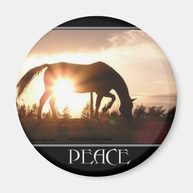 Peace at Sunset Magnet (Front)