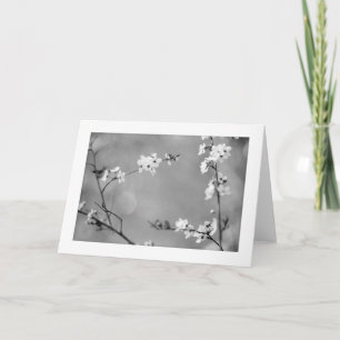 Peace Card