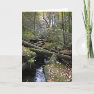 Peace Card