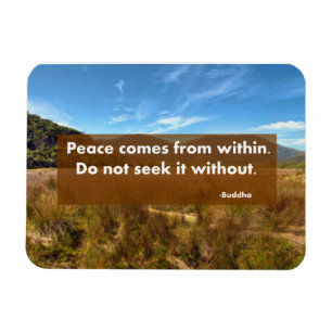 Peace comes from within magnet