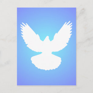 Peace Dove in Flight White Blue Sky Simply Elegant Postcard